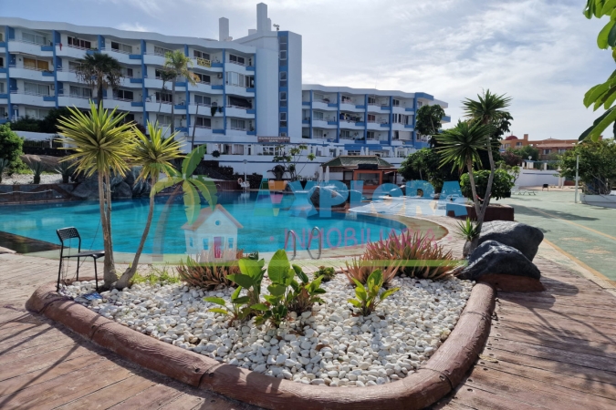 Monolocale Golf del Sur